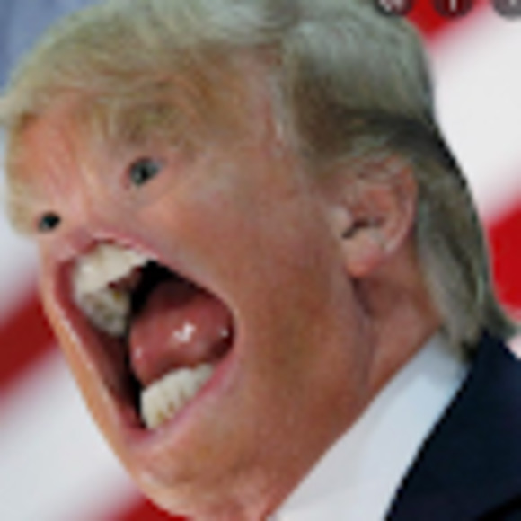 Meet your Posher, Jacob - Picture 1 of 1